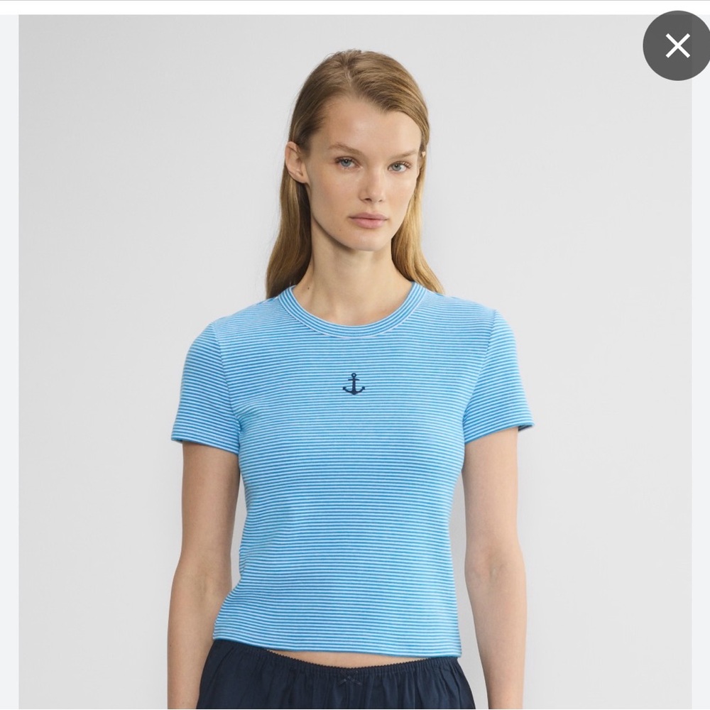 Aritzia Sunday Best little ribbed Blue Striped Tee